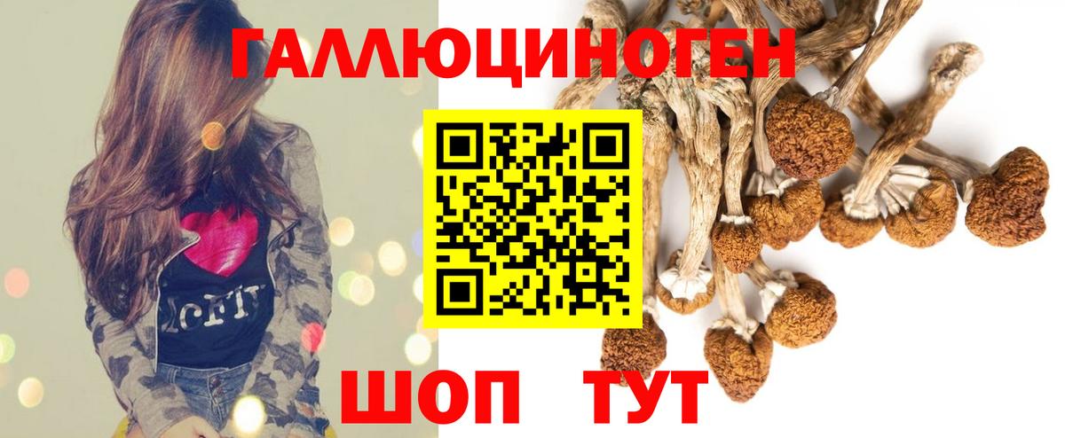 Котельники  Галлюциногенные грибы Cubensis  Вход с VPN 
